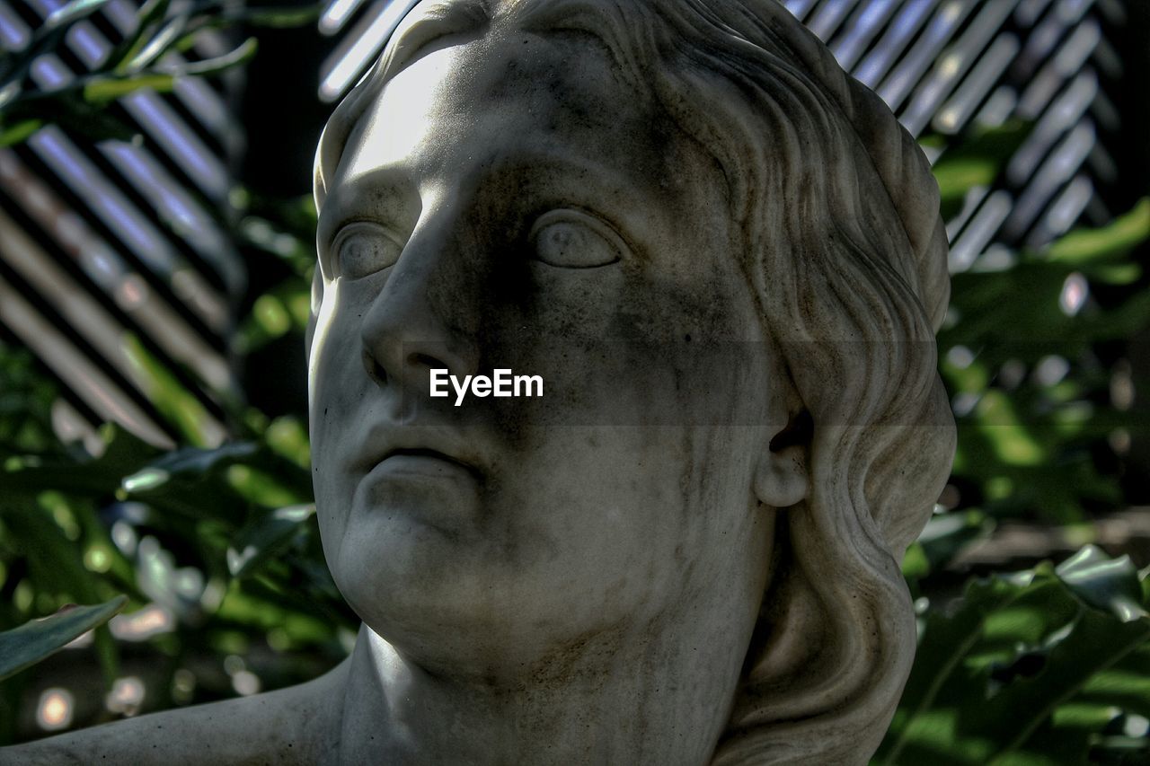 Close-up of statue against plants