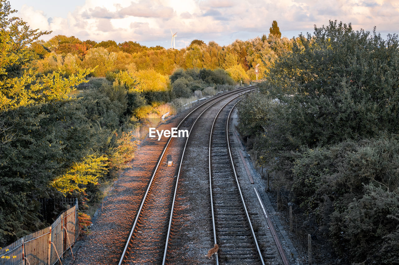 rail transportation, track, railroad track, transportation, plant, sky, railway, transport, nature, tree, autumn, mode of transportation, cloud, no people, flower, the way forward, travel, landscape, public transportation, environment, land, vanishing point, outdoors, yellow, vehicle, beauty in nature, diminishing perspective, train, scenics - nature, day, morning, non-urban scene