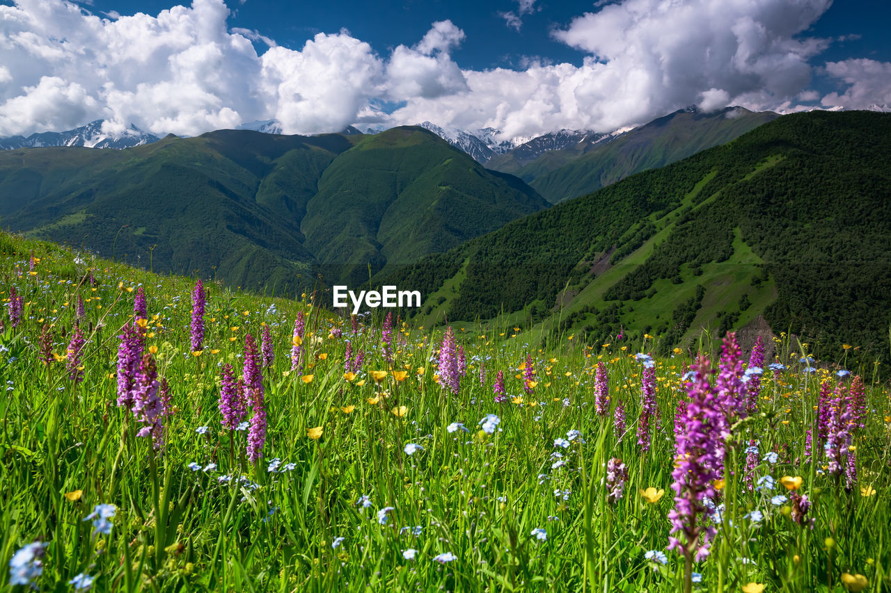 Mountains of chechnya in the caucasus