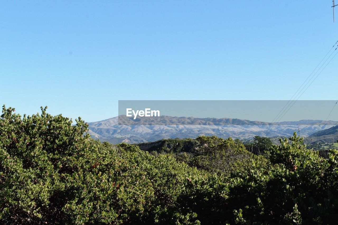 SCENIC VIEW OF TREE MOUNTAINS AGAINST CLEAR BLUE SKY