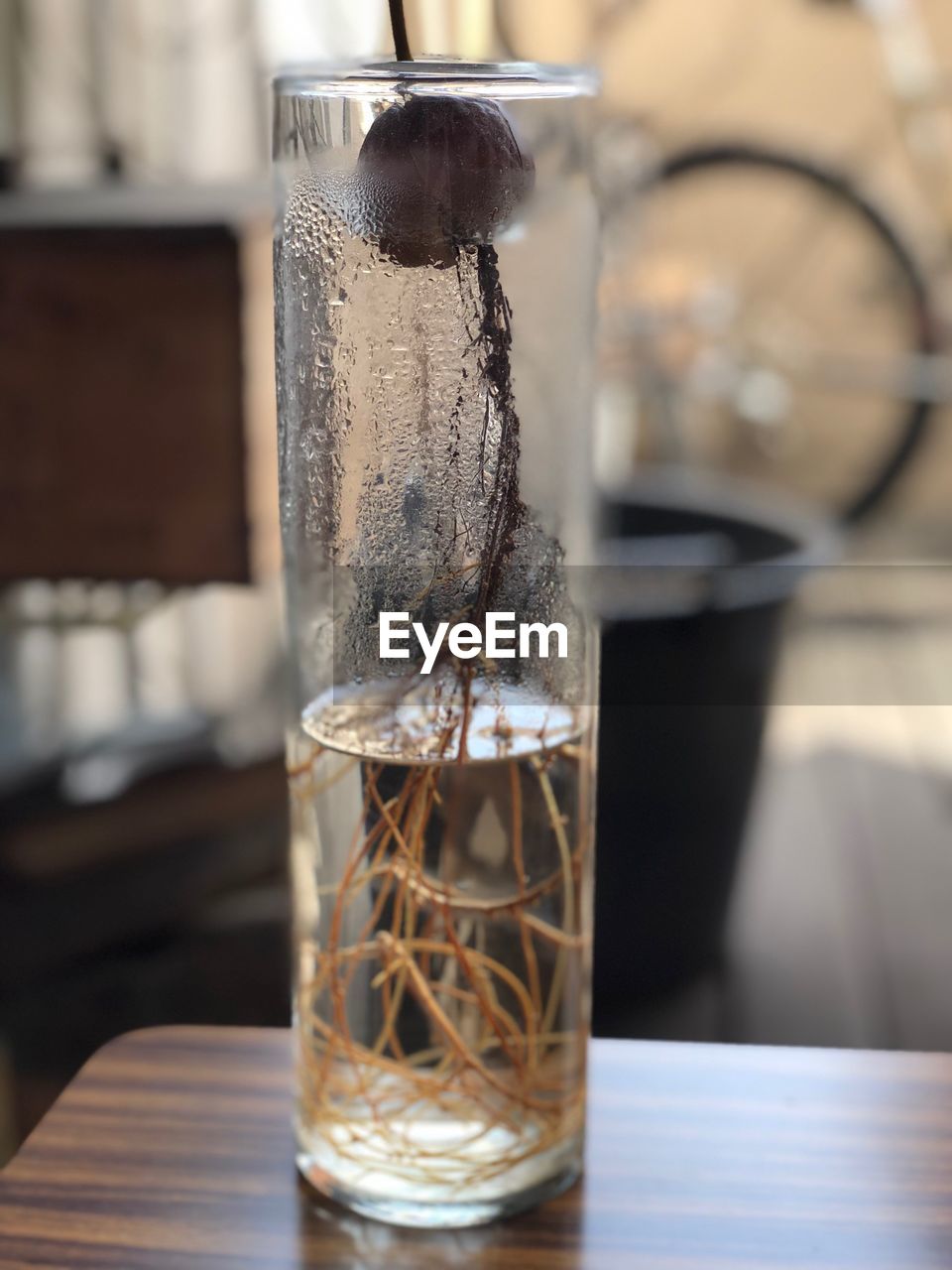 Close-up of beer glass on table