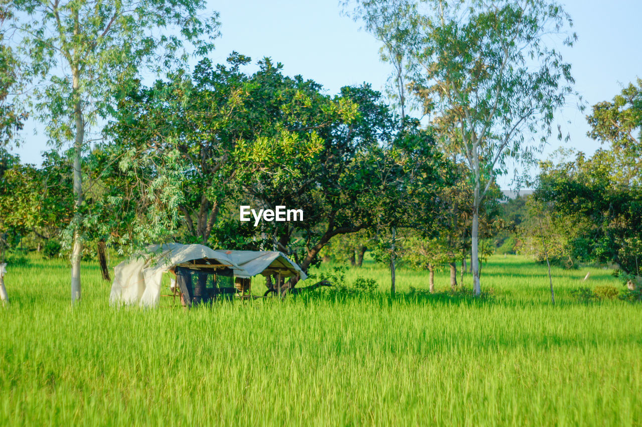 Scenic view of farm against sky