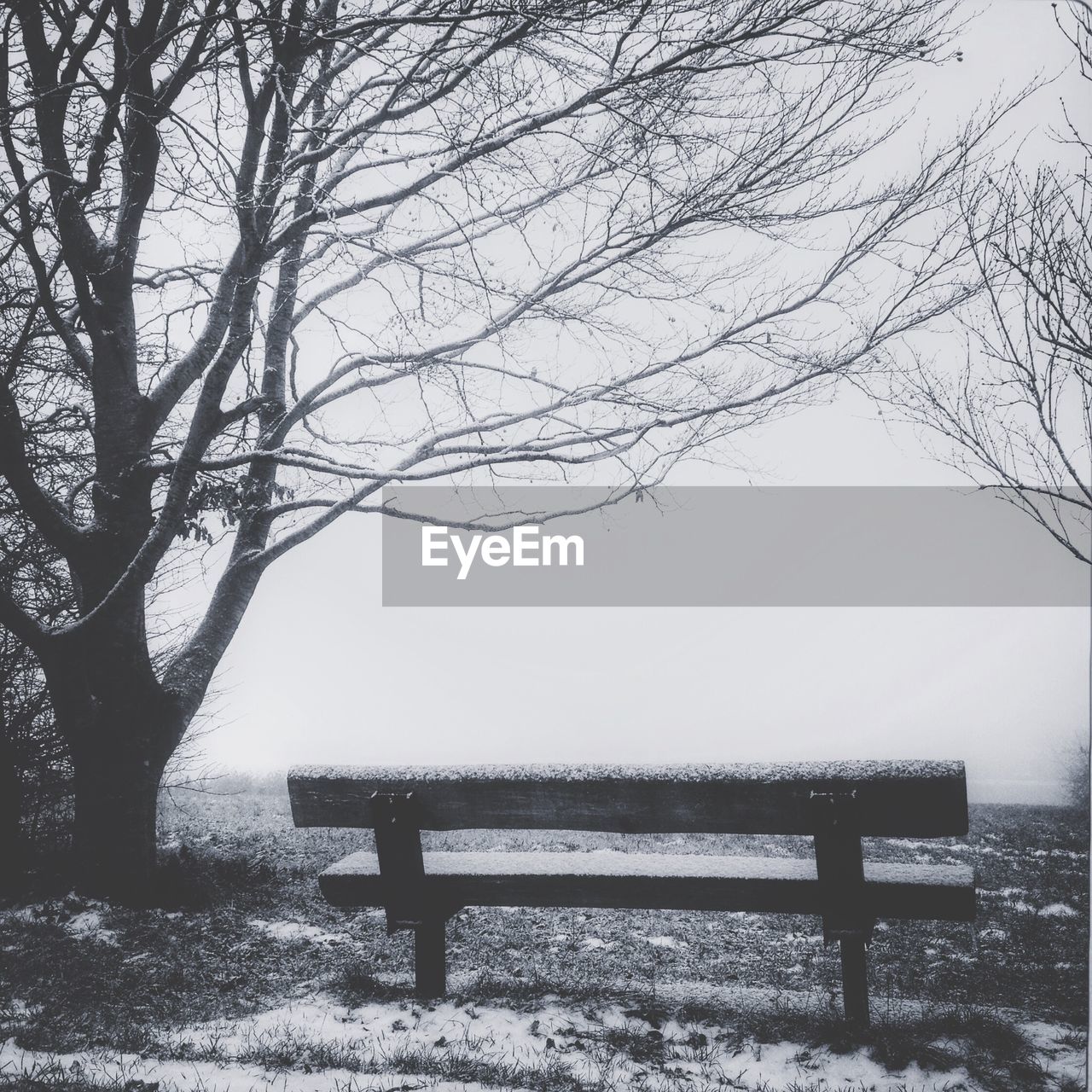 Bare tree and bench in park during winter season