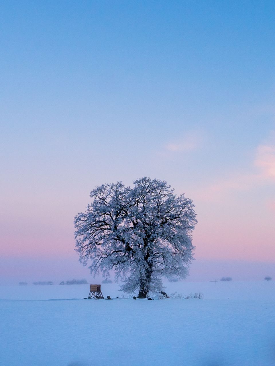 Tree on snow covered field against sky at sunset