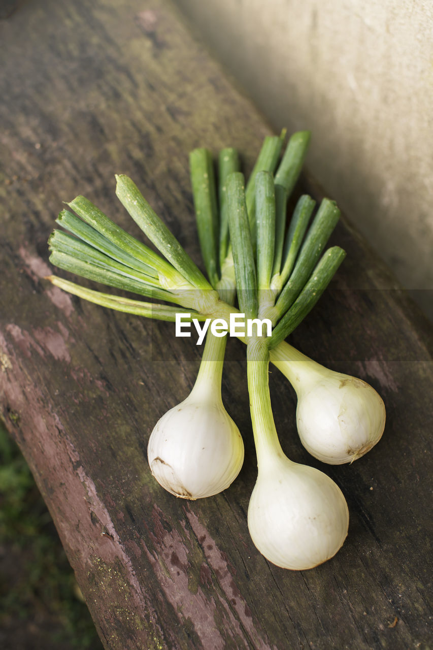 High angle view of white onions on wooden bench