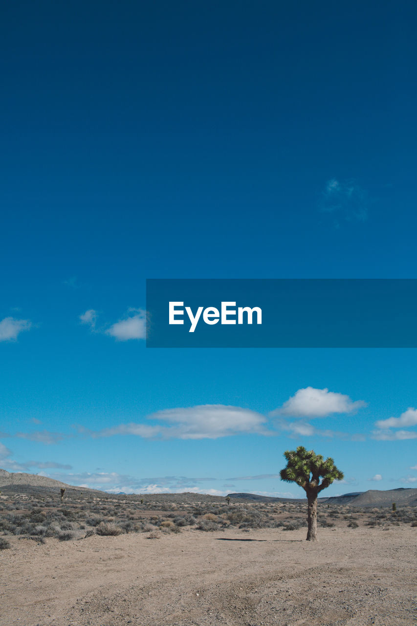 Scenic view of landscape against blue sky