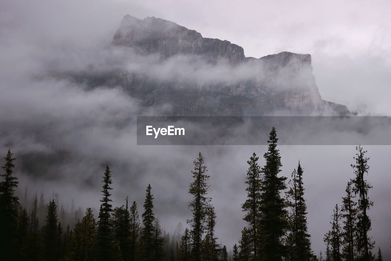 Mountain partially hidden by low clouds and fog