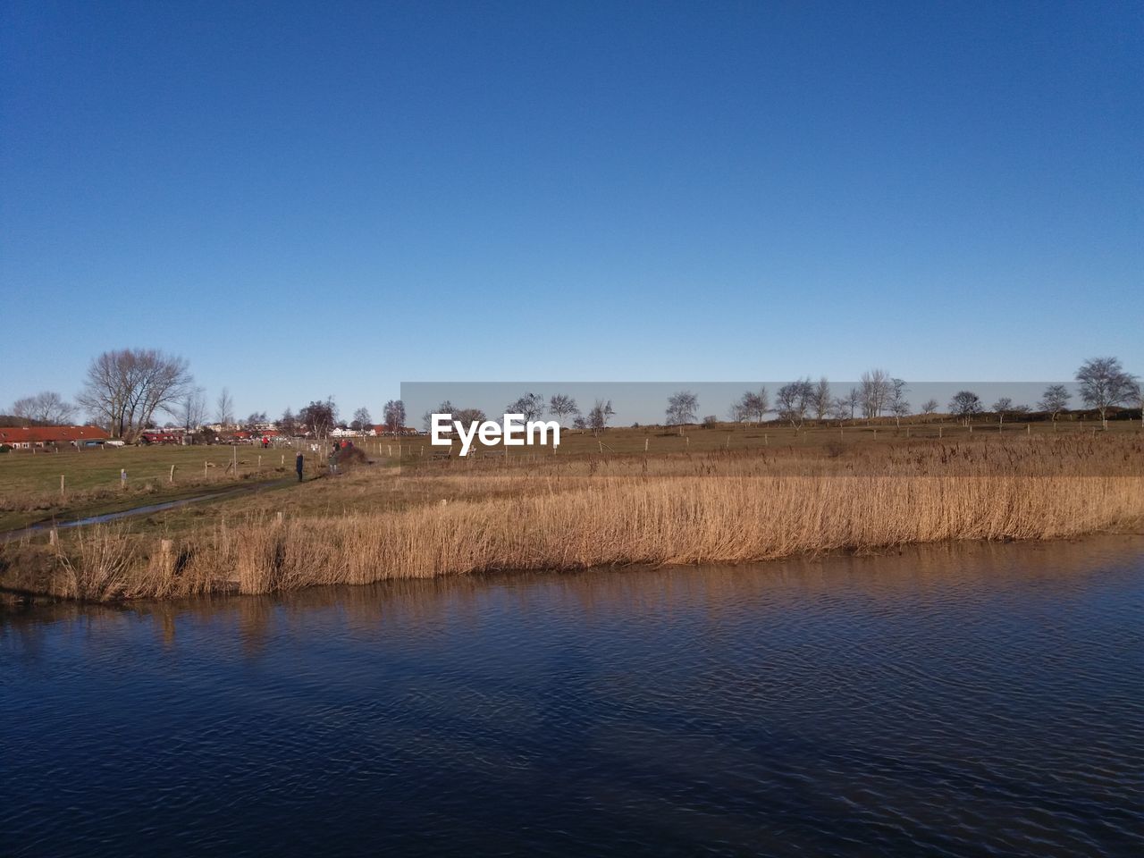 FIELD AGAINST CLEAR BLUE SKY