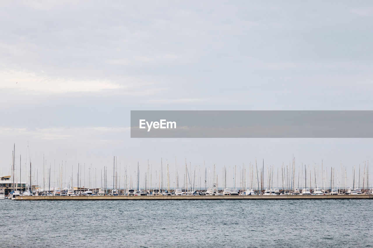 Sailboats in marina