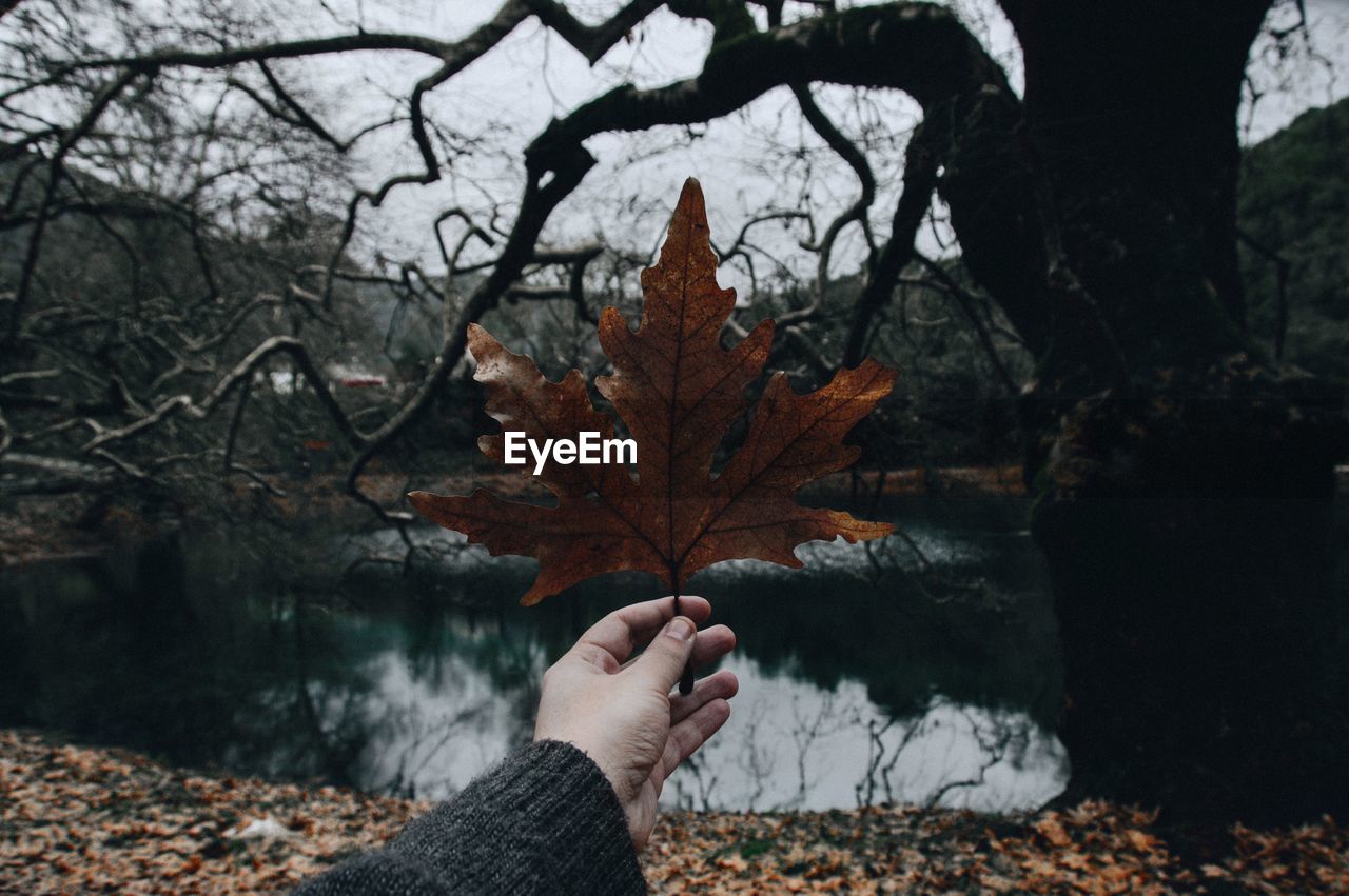 Cropped image of hand holding maple leaf against lake during winter