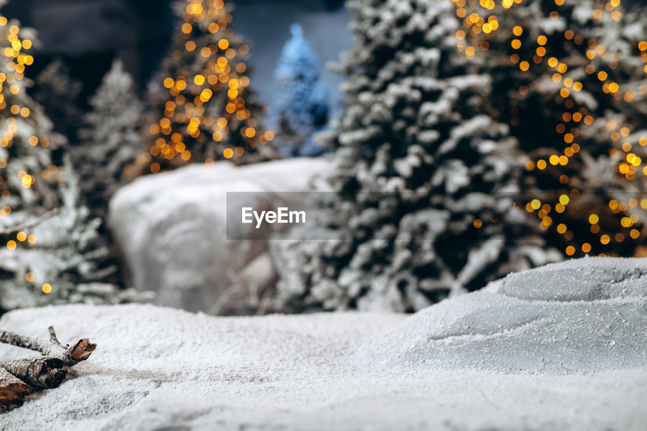 close-up of christmas tree during winter