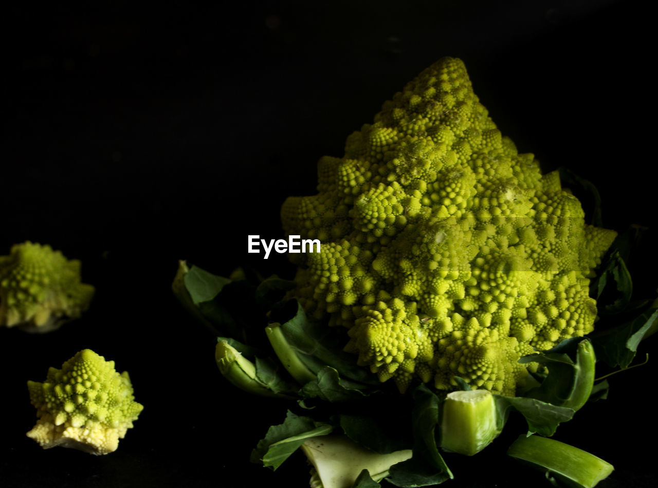 Close-up of romanesco broccoli against black background