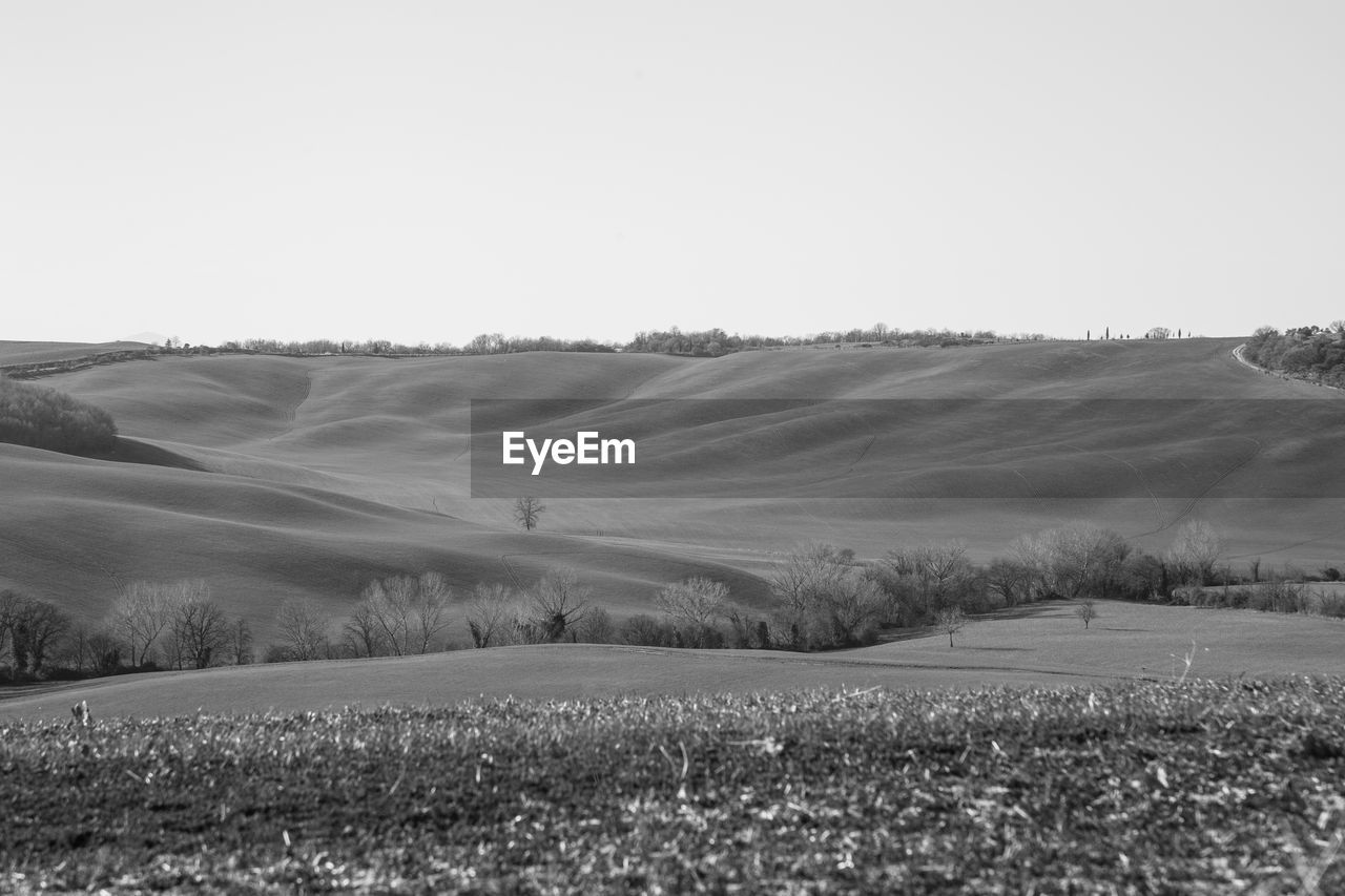 SCENIC VIEW OF FIELD AGAINST CLEAR SKY