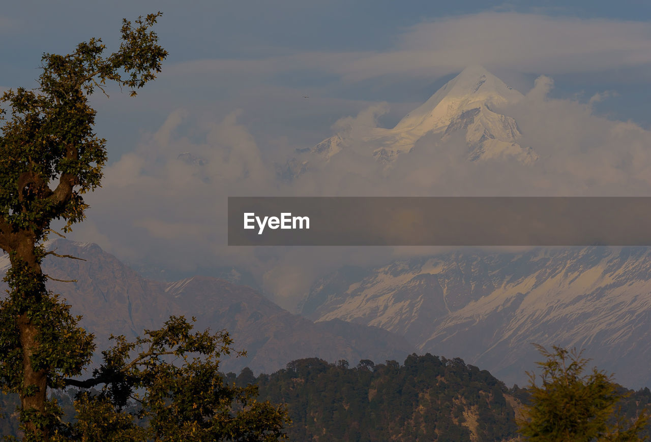 mountain, nature, tree, wilderness, plant, scenics - nature, beauty in nature, environment, sky, landscape, cloud, morning, mountain range, land, no people, ridge, mountain peak, snow, travel destinations, fog, travel, tranquility, outdoors, non-urban scene, tranquil scene, forest, tourism, day, pinaceae, winter, pine tree, coniferous tree