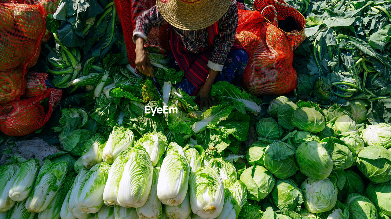 Variety of fruits for sale