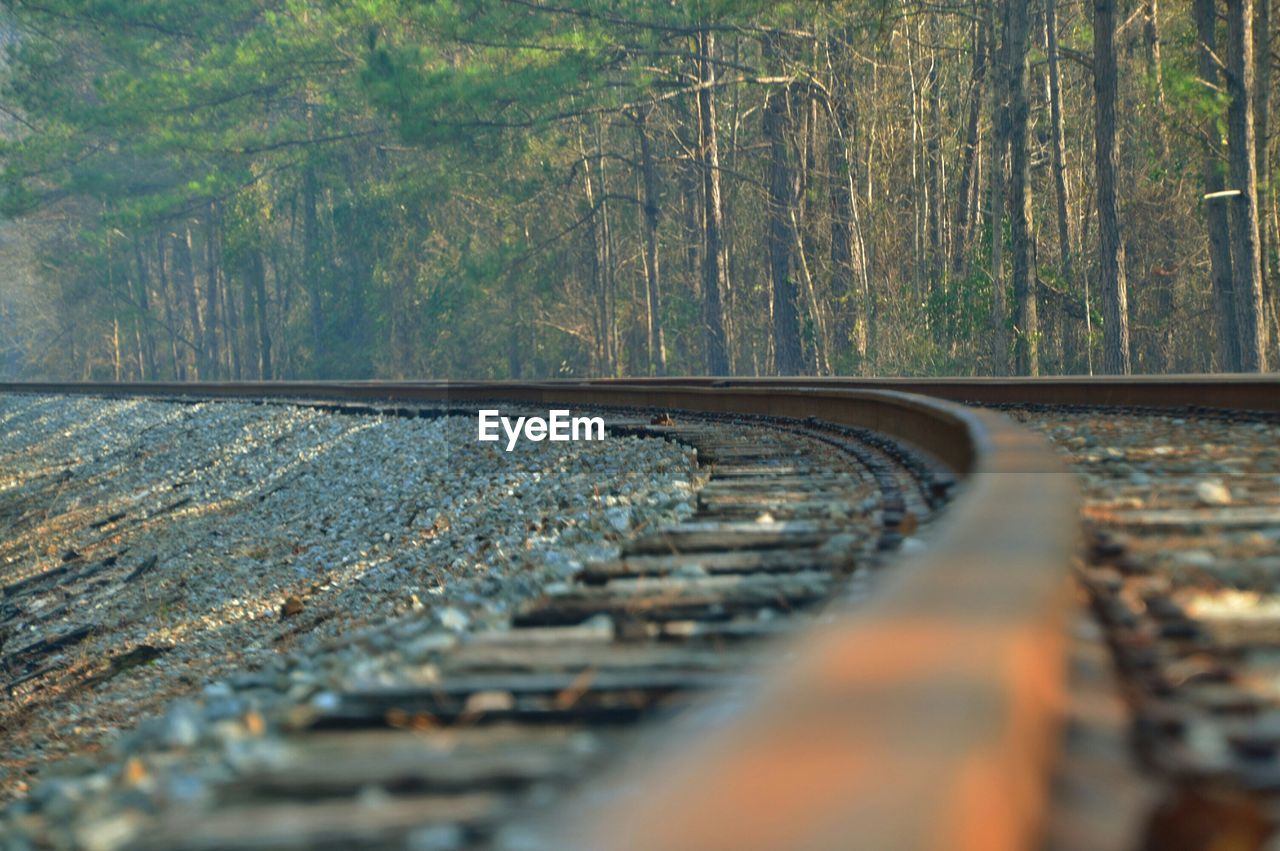 Surface level of railroad tracks in forest