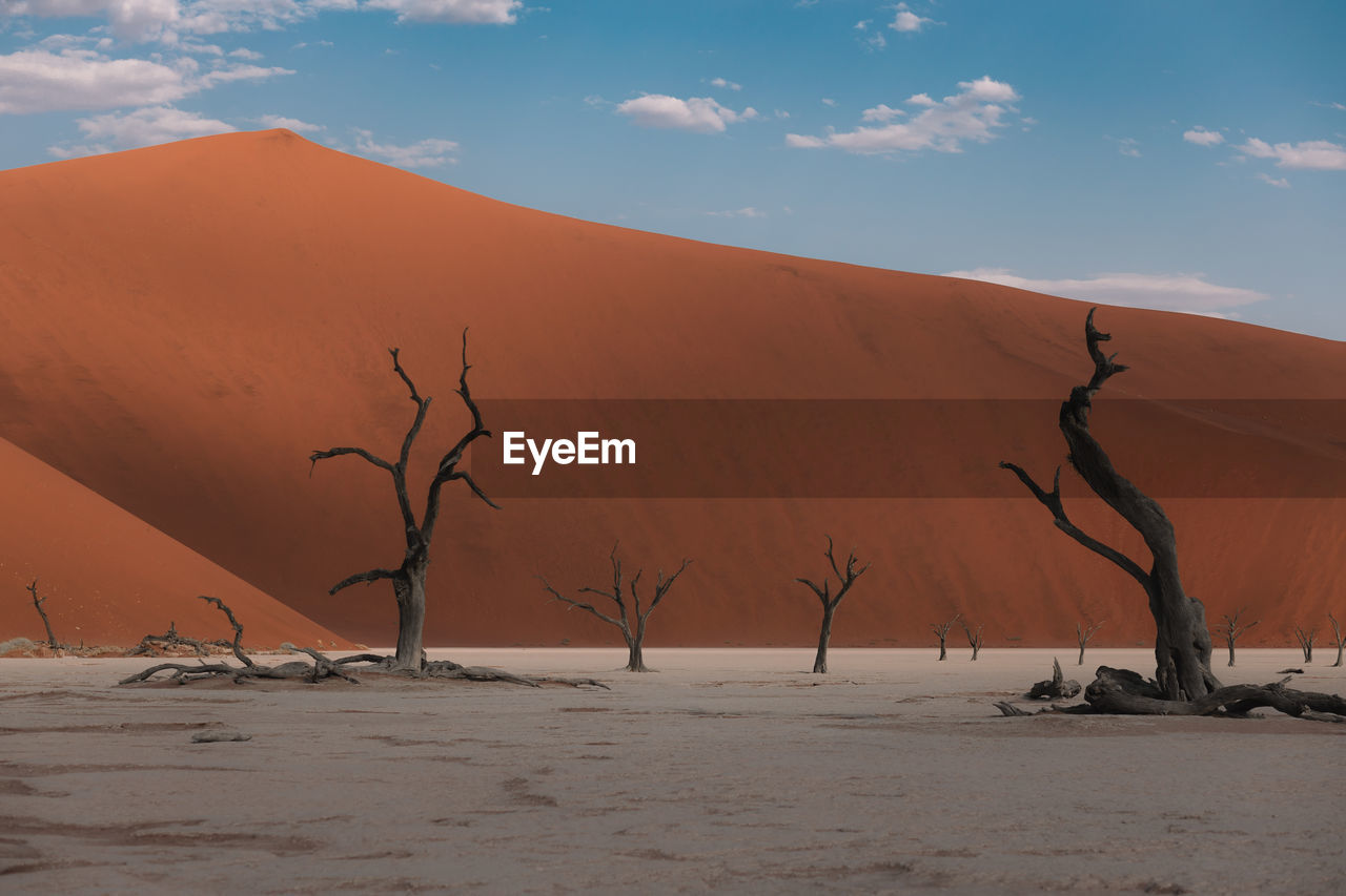 Dry trees among dunes in the namibian landscape at deadvlei