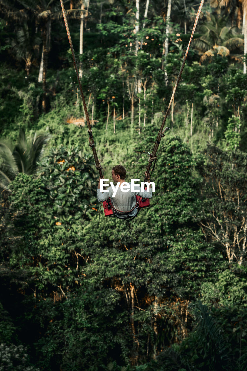 REAR VIEW OF MAN SITTING ON ROCK AT FOREST