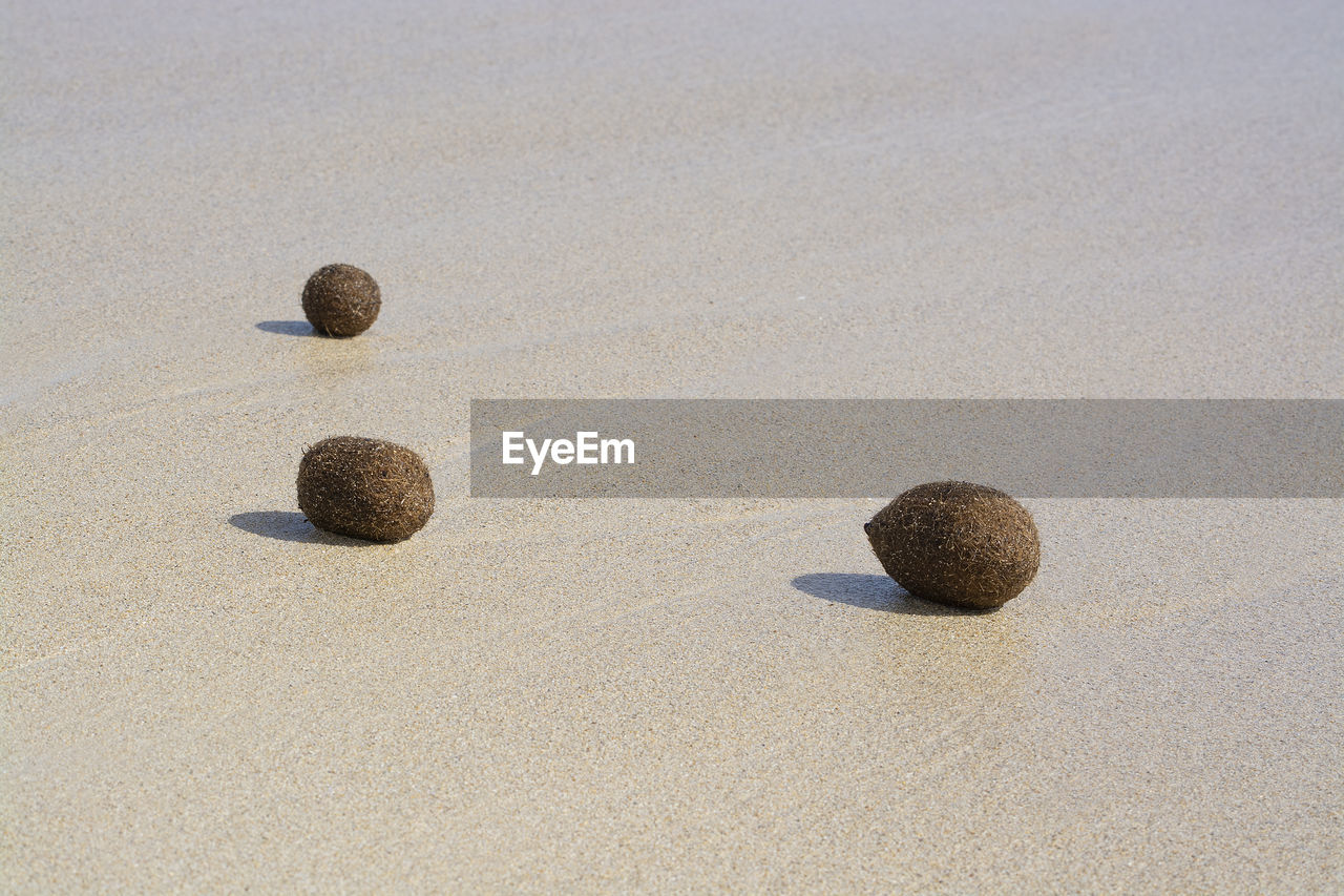 HIGH ANGLE VIEW OF BALLS ON SAND