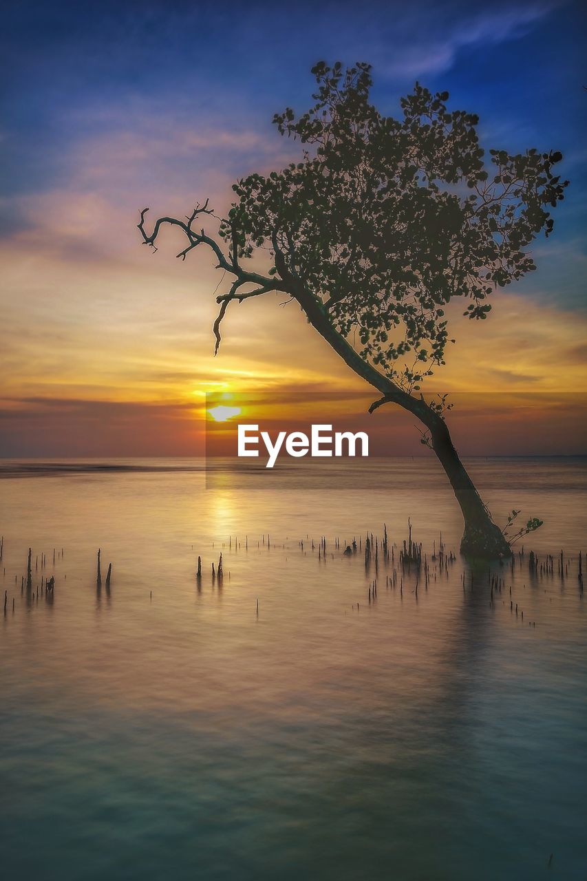 Scenic view of sea against sky during sunset