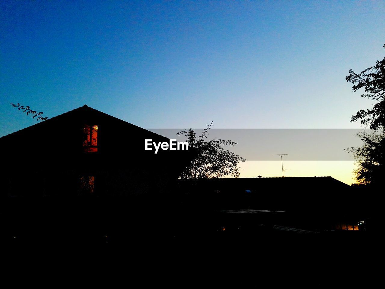 SILHOUETTE TREES AGAINST CLEAR SKY