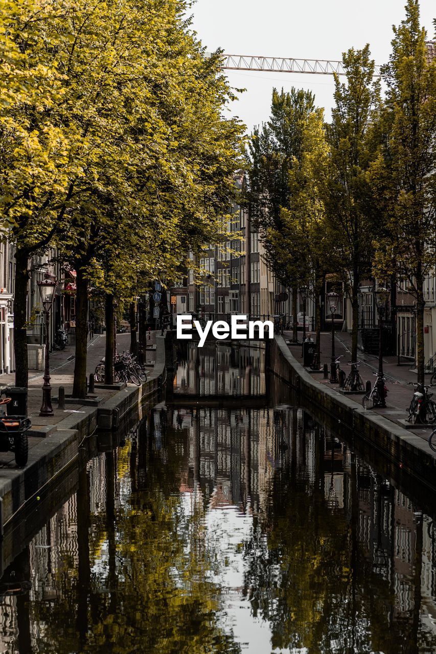 Canal amidst trees in city during autumn