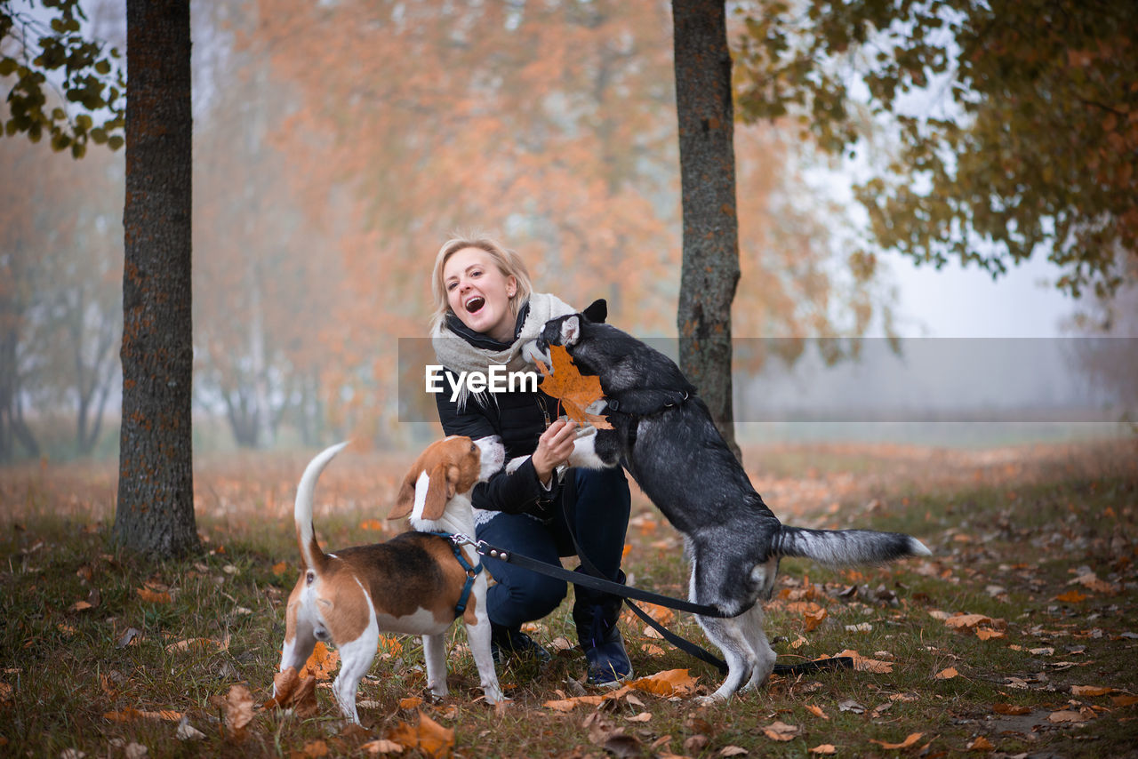 Playful woman with dogs during autumn
