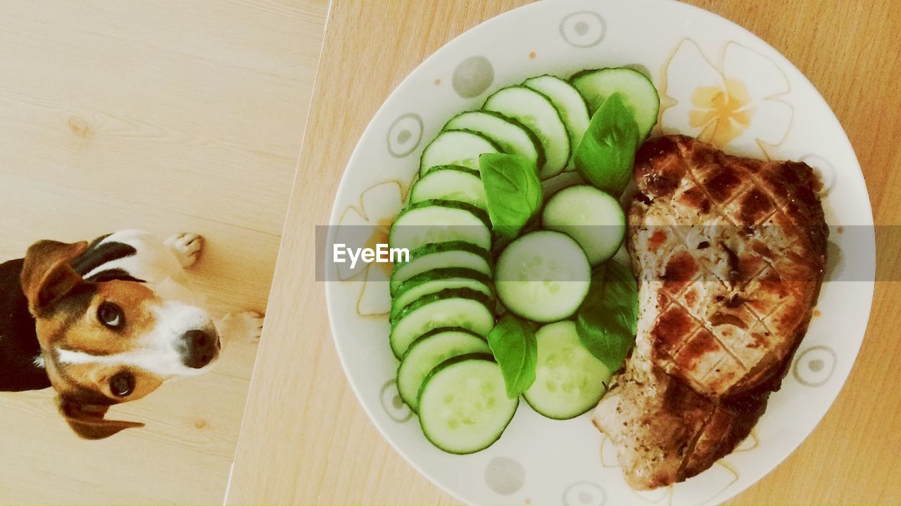 CLOSE-UP OF FOOD ON TABLE