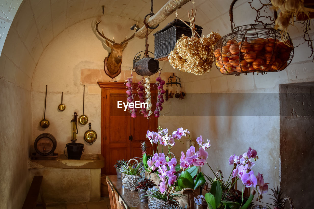 Recreation of the old kitchen of the castle. eating table,  a deer head, hunting trophy.