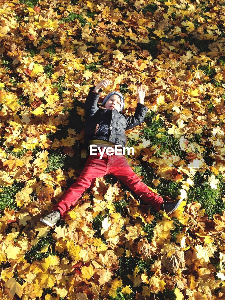 High angle view of boy lying on autumn leaves at park