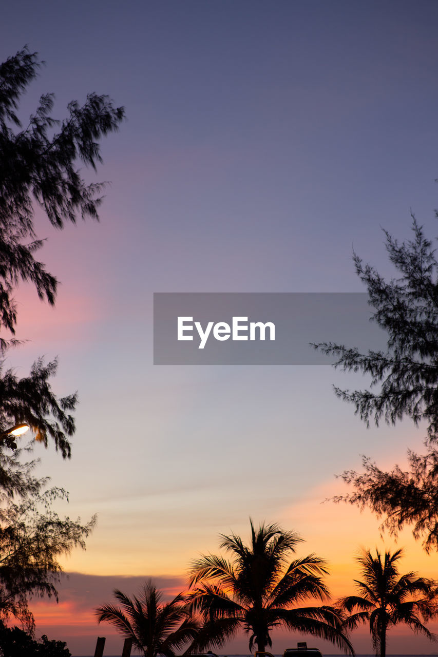 LOW ANGLE VIEW OF SILHOUETTE PALM TREES AGAINST SKY