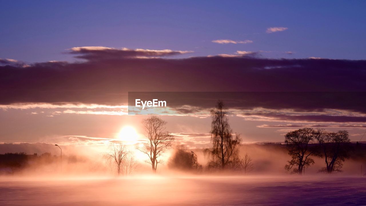 Silhouette trees against sky during sunset