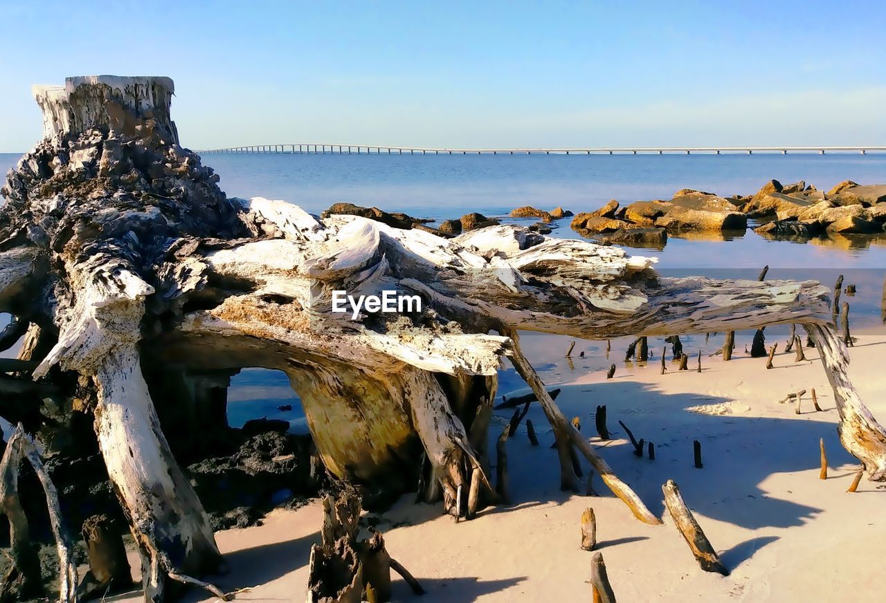 Wood on beach against sky