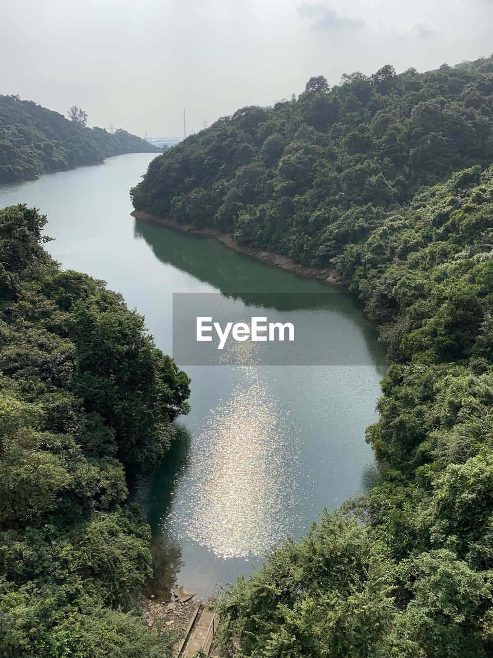 SCENIC VIEW OF RIVER AMIDST TREES IN FOREST