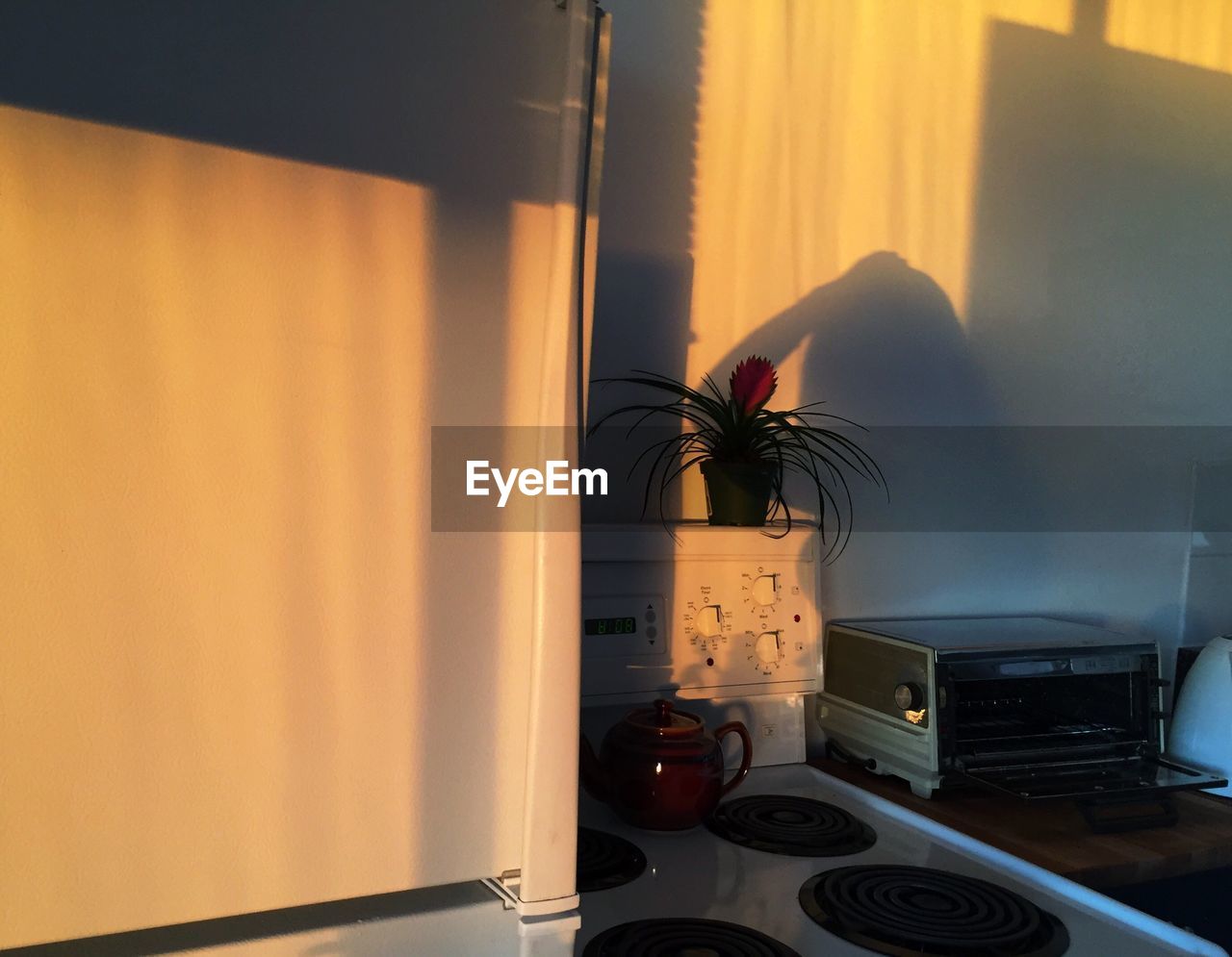 indoors, table, no people, vase, home interior, curtain, technology, nature, day, close-up