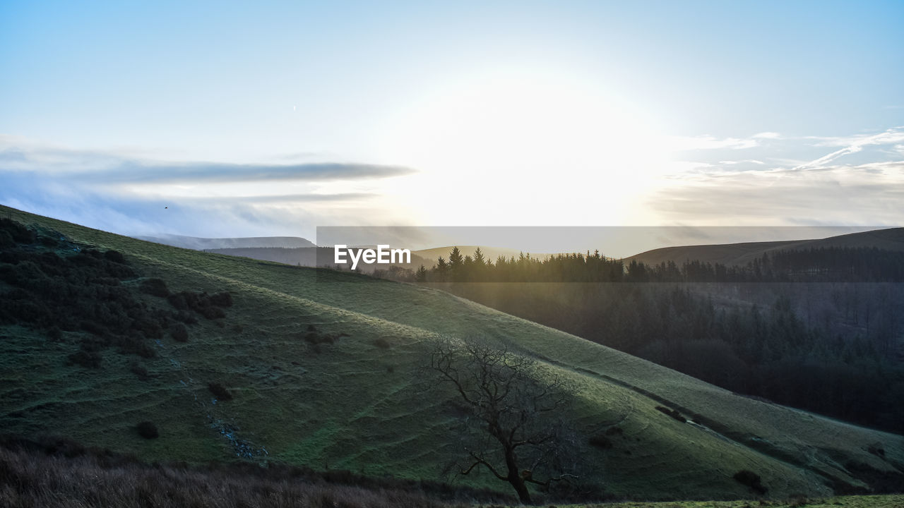 nature, sky, landscape, environment, hill, scenics - nature, land, beauty in nature, morning, plant, cloud, sunlight, tranquility, sun, mountain range, tranquil scene, valley, no people, sunbeam, horizon, rural area, tree, rural scene, non-urban scene, grass, travel, fog, idyllic, field, plateau, blue, outdoors, travel destinations, lens flare, dawn, forest, highland, tourism, green, sunrise, summer, day, road, agriculture