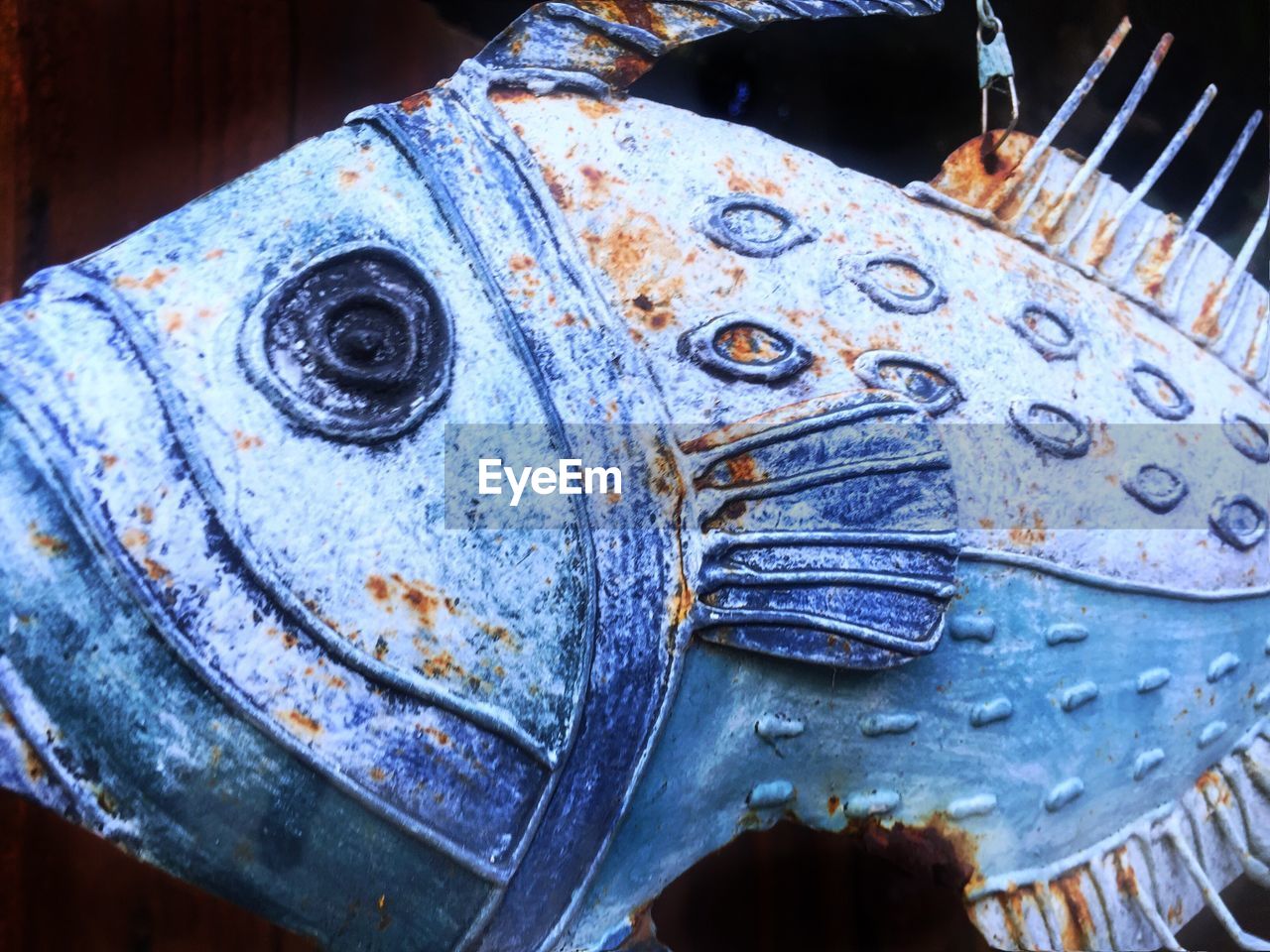 CLOSE UP OF BLUE HORSE