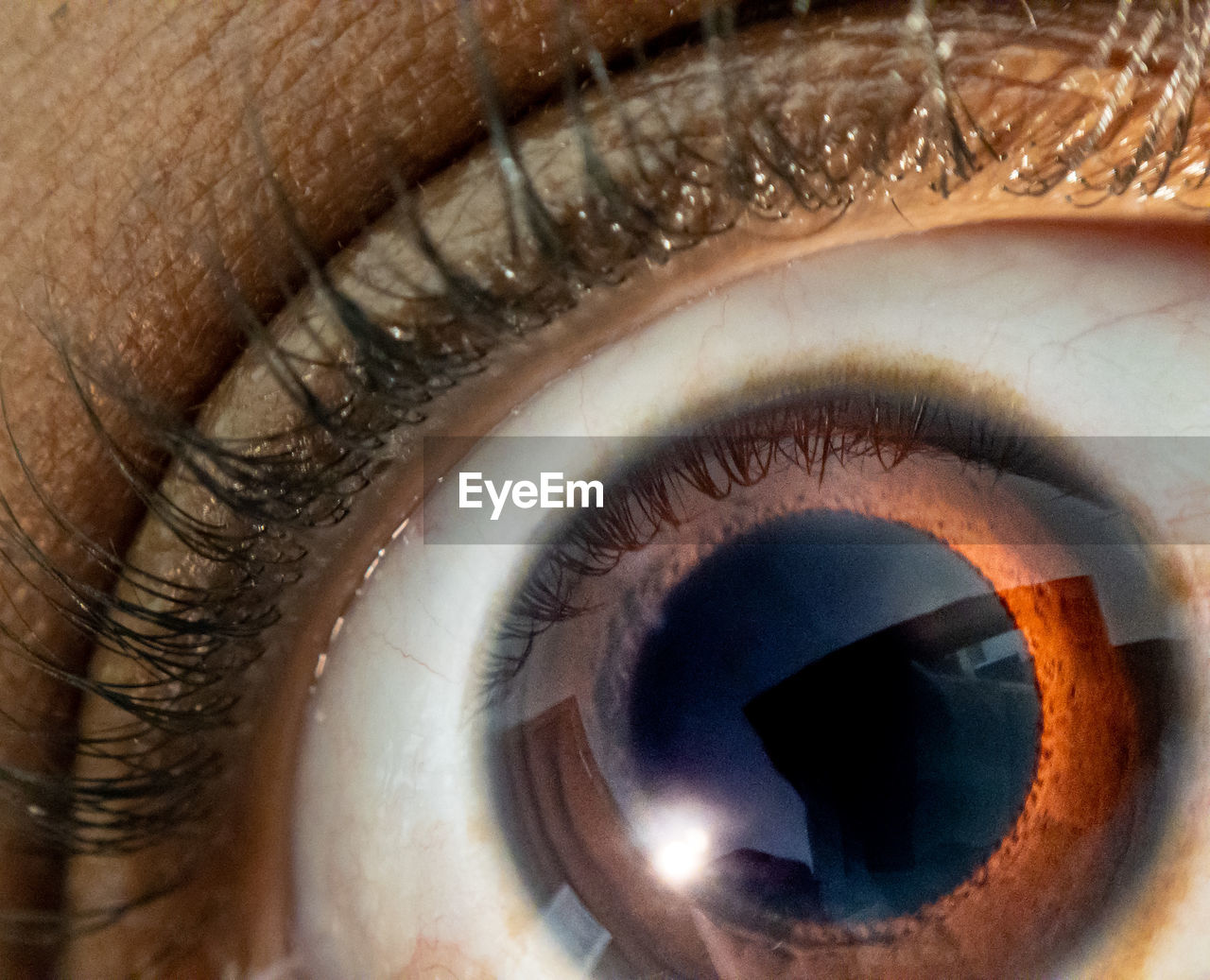 Close up of african american mans dark brown eyes for use in ophthalmology optometry imagery