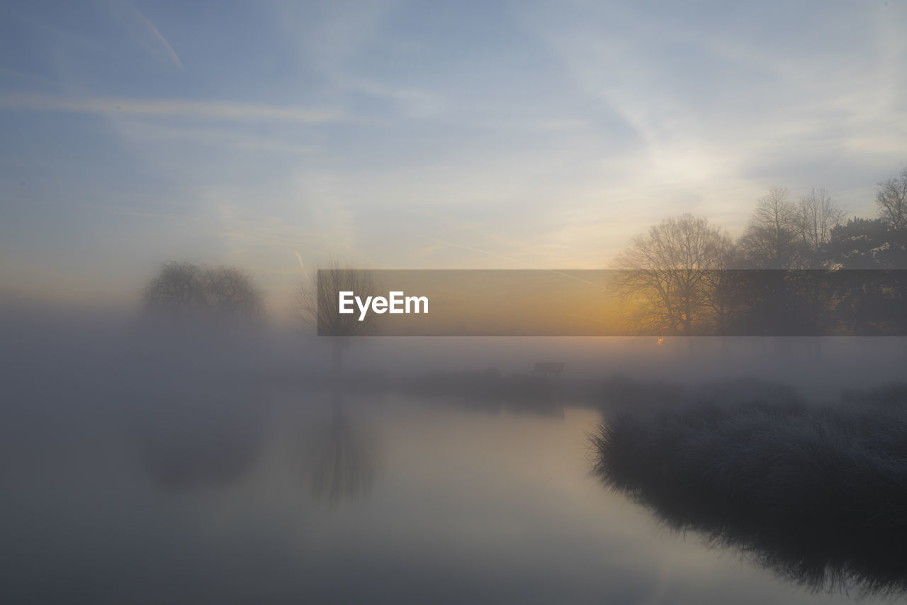 TREES ON LAKE AGAINST SKY DURING SUNSET