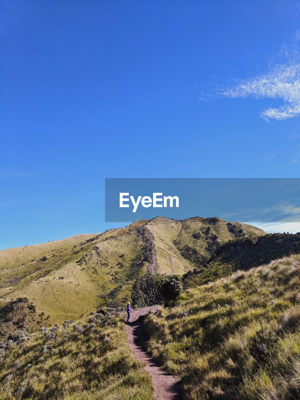 Scenic view of landscape against blue sky