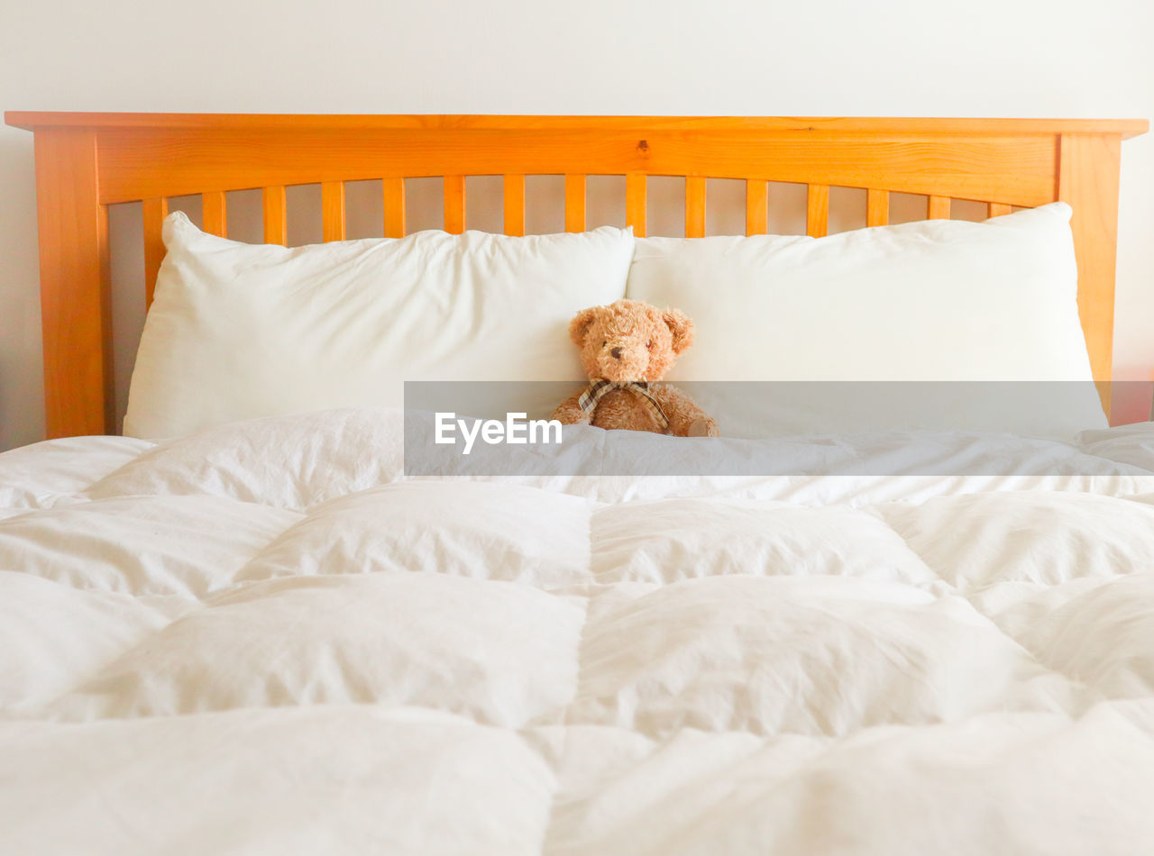 WHITE CAT LYING ON BED