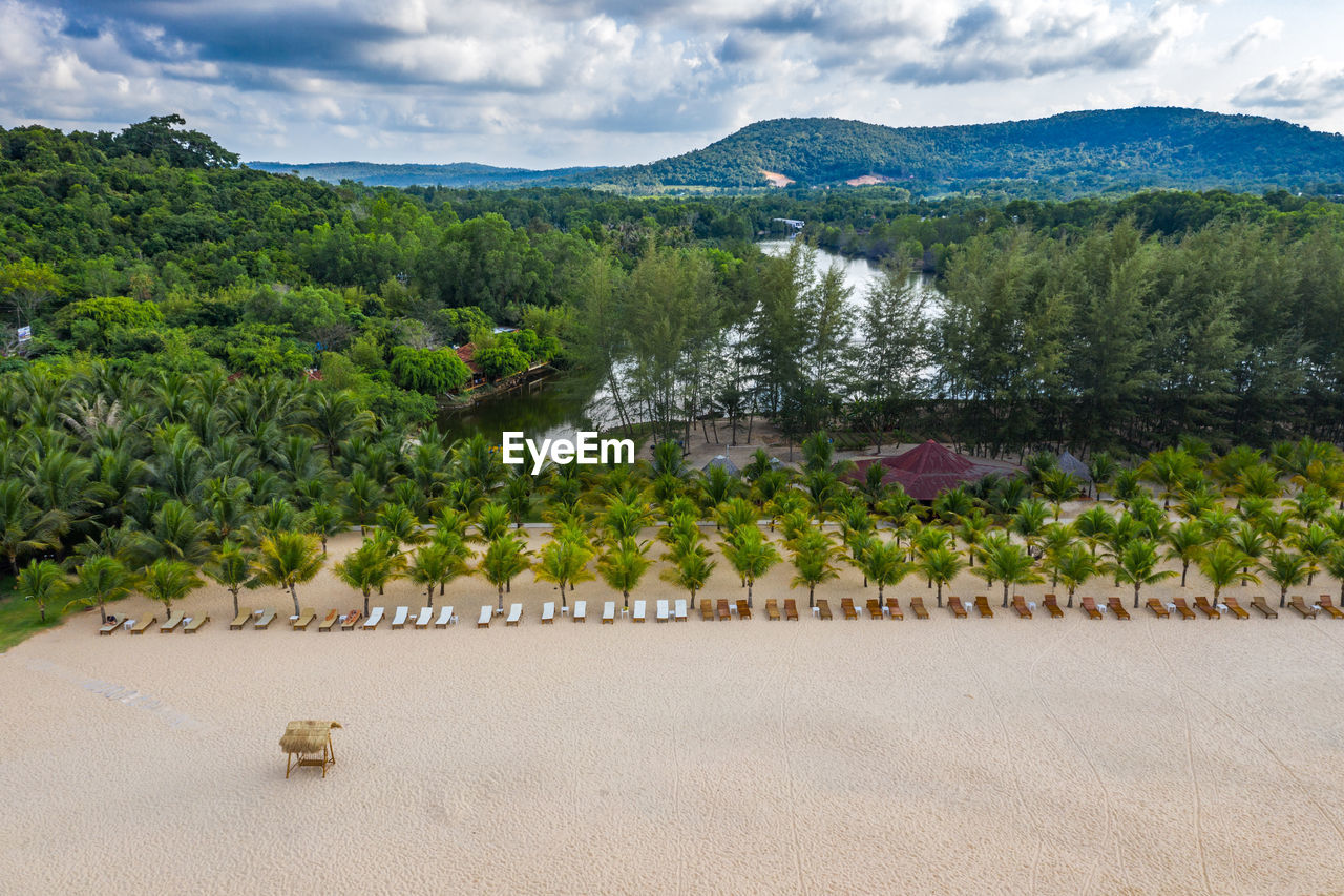 Beautiful aerial landscape of tropical palm trees on beach resort