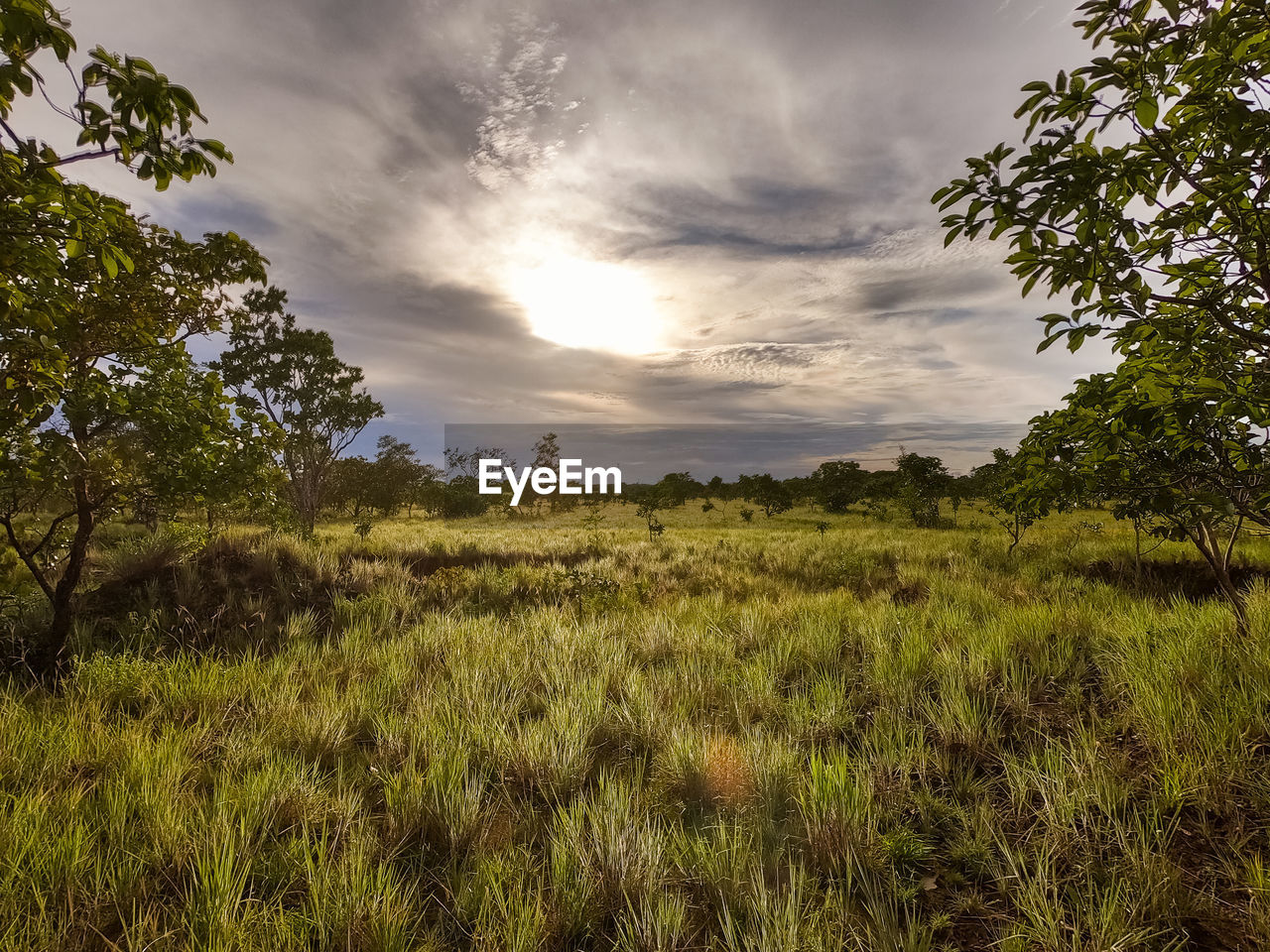 SCENIC VIEW OF LAND AGAINST SKY