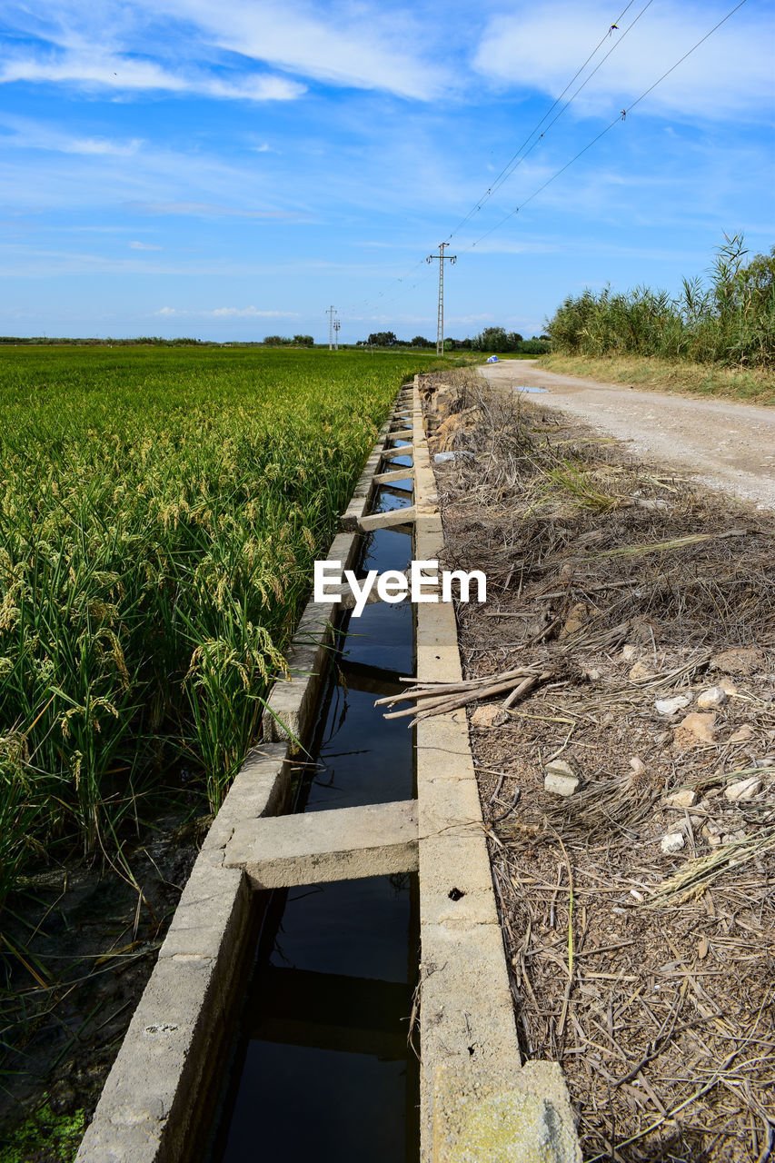 Scenic view of agricultural field against sky