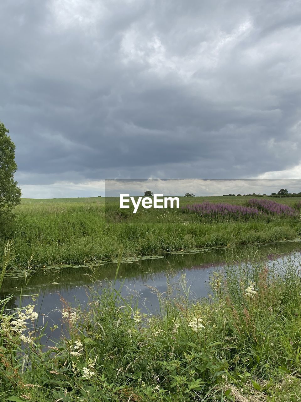 SCENIC VIEW OF SWAMP AGAINST SKY