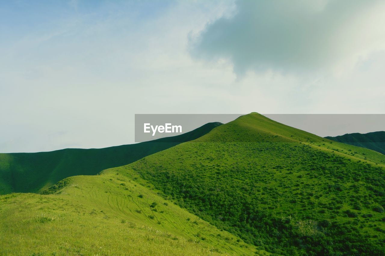 Scenic view of green landscape against sky