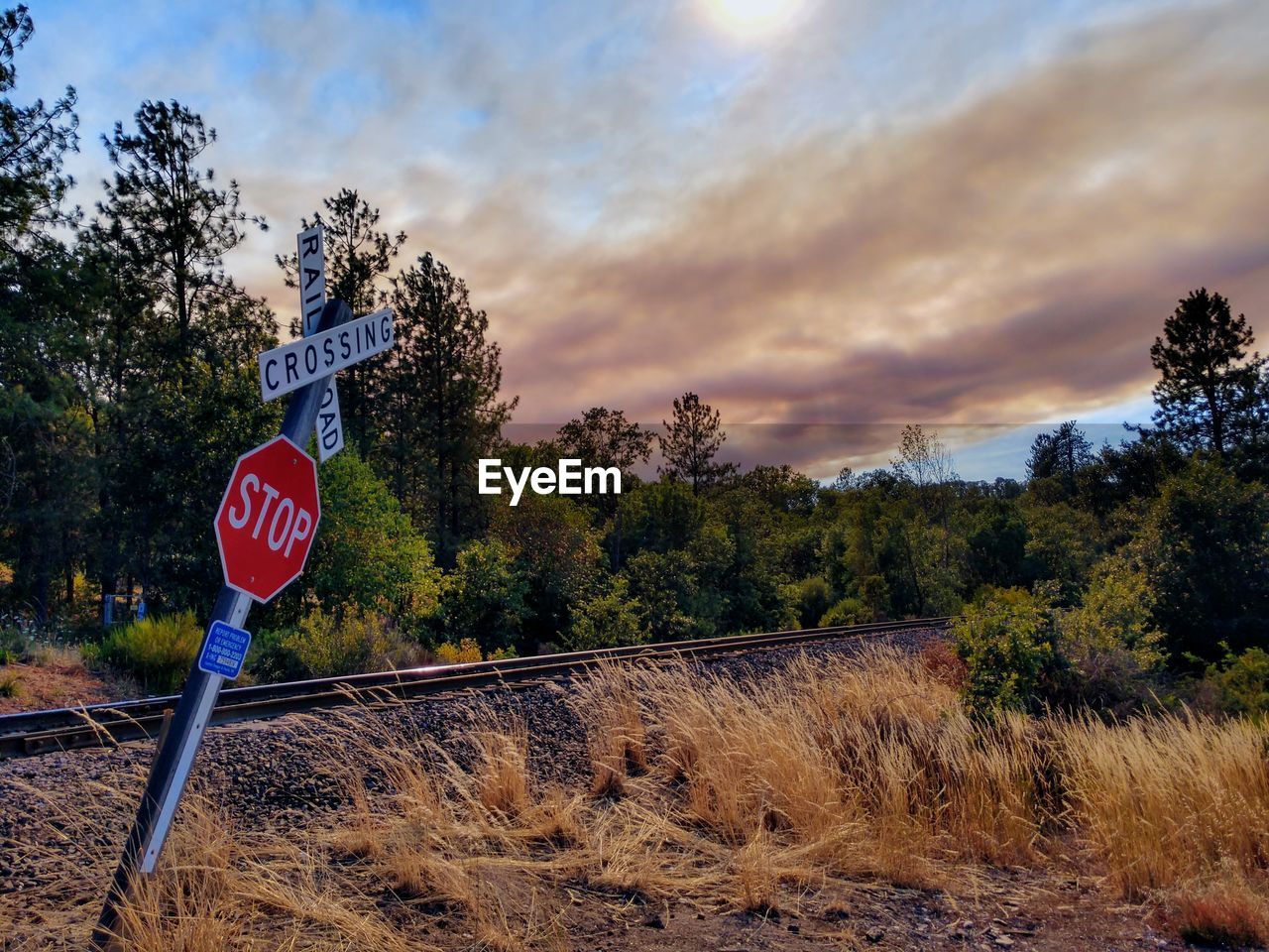 ROAD SIGN BY TREES ON FIELD AGAINST SKY AT DUSK