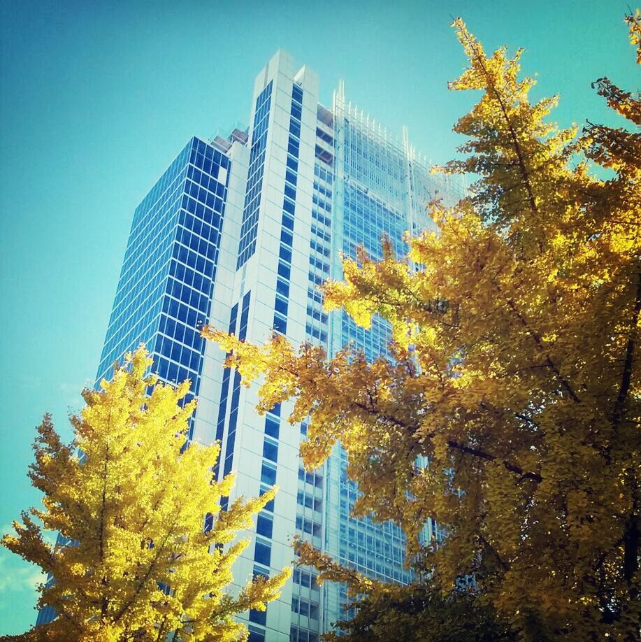 LOW ANGLE VIEW OF MODERN BUILDINGS AGAINST SKY