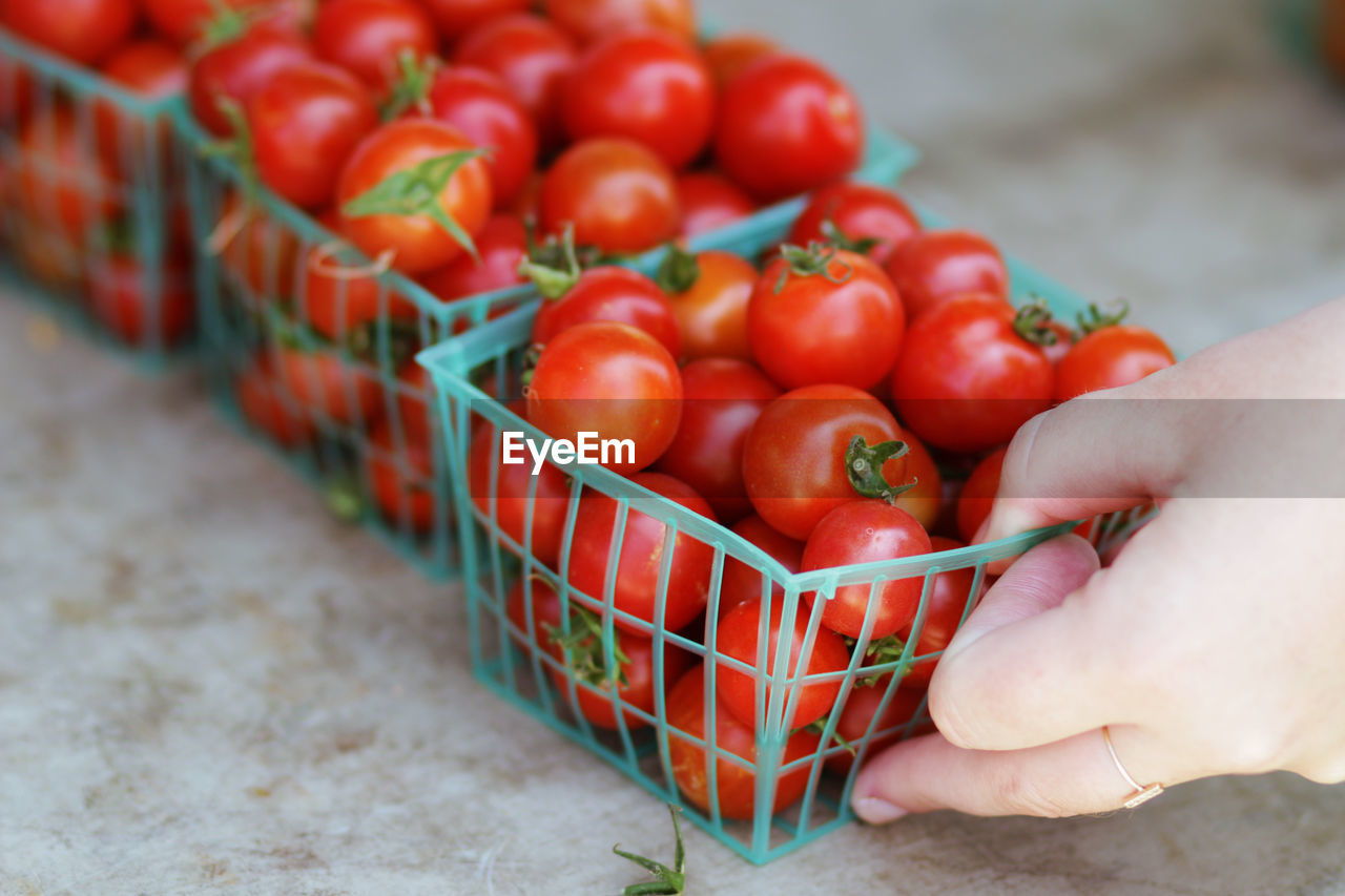 Cropped image of hand holding cherry tomatoes in container
