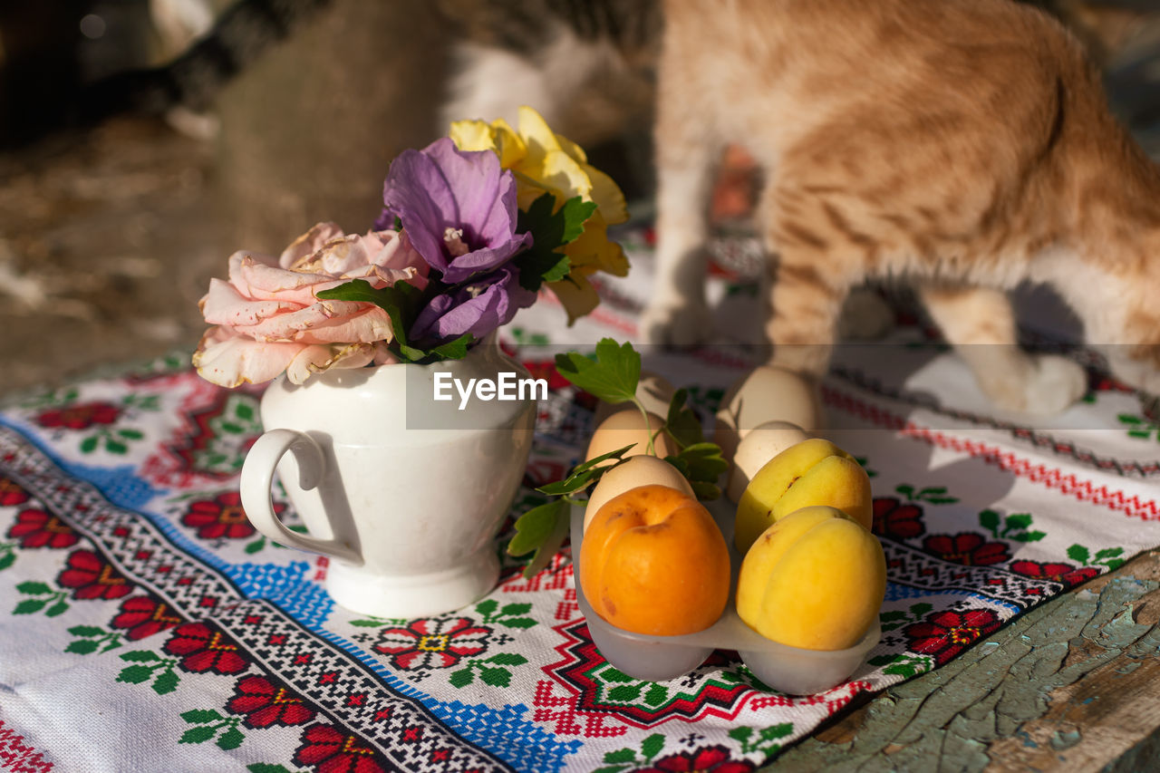 Close-up of cat on table